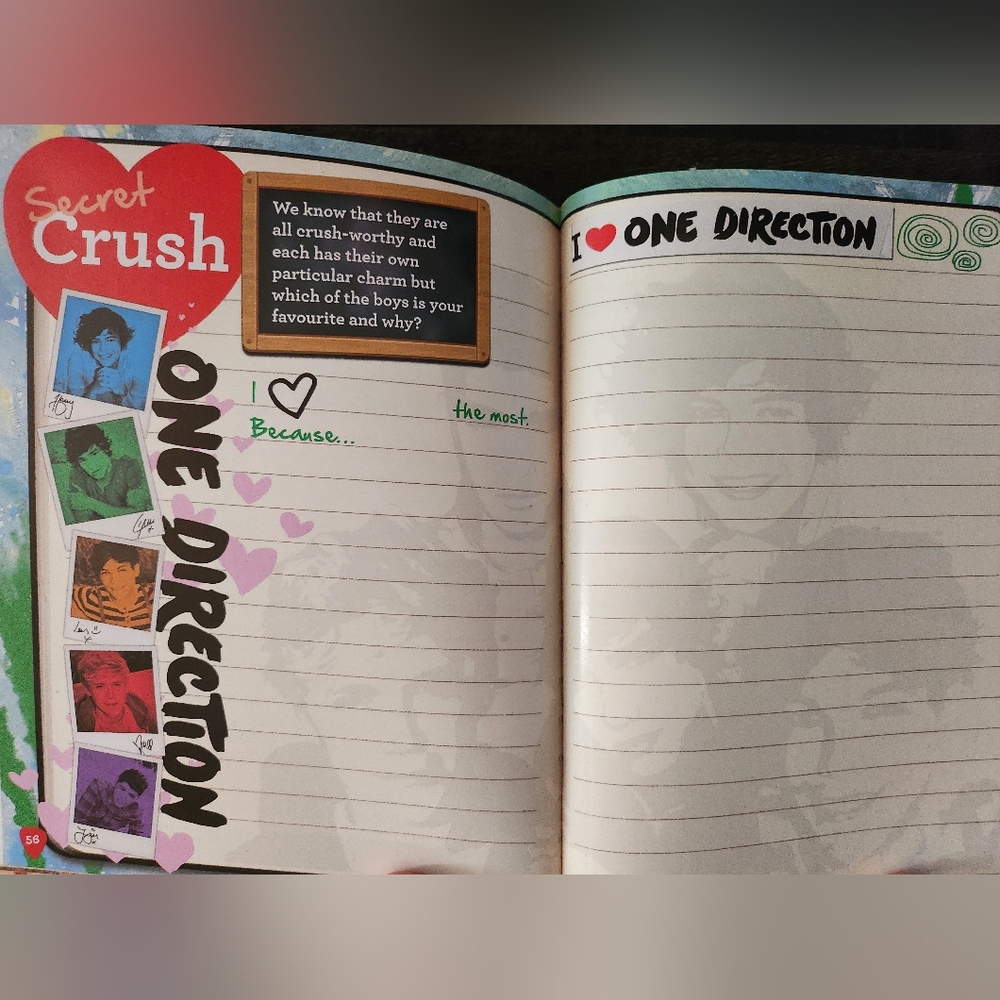 One Direction Secret Notebook 2013 - Picture 6 of 14